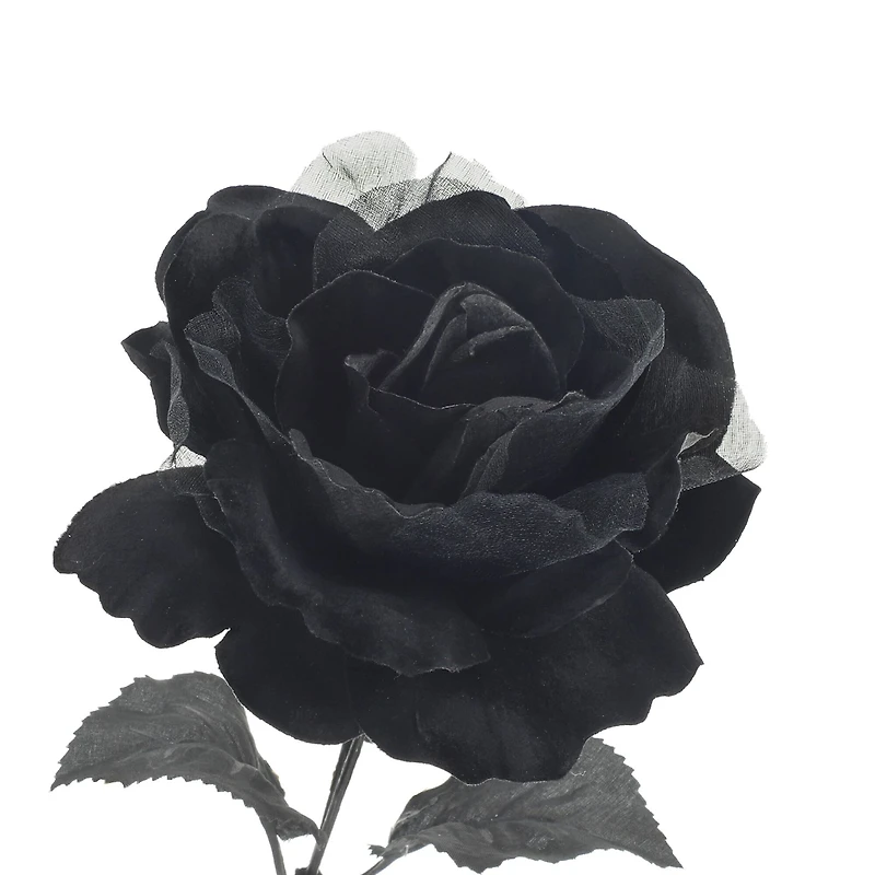17.5" Black Rose Bush by Ashland®