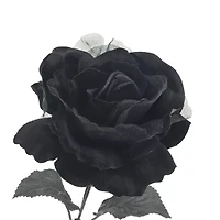 17.5" Black Rose Bush by Ashland®