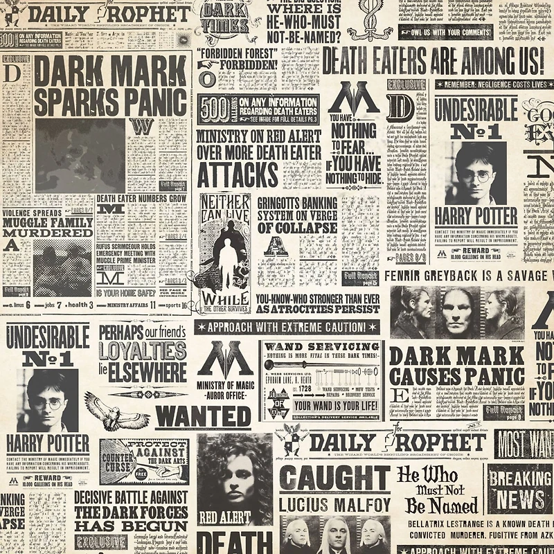 Paper House® Harry Potter Newspaper Double-Sided 12" x 12" Cardstock, 15 Sheets