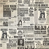 Paper House® Harry Potter Newspaper Double-Sided 12" x 12" Cardstock, 15 Sheets