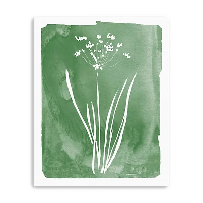 Green Botanical II Canvas Giclee