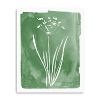 Green Botanical II Canvas Giclee
