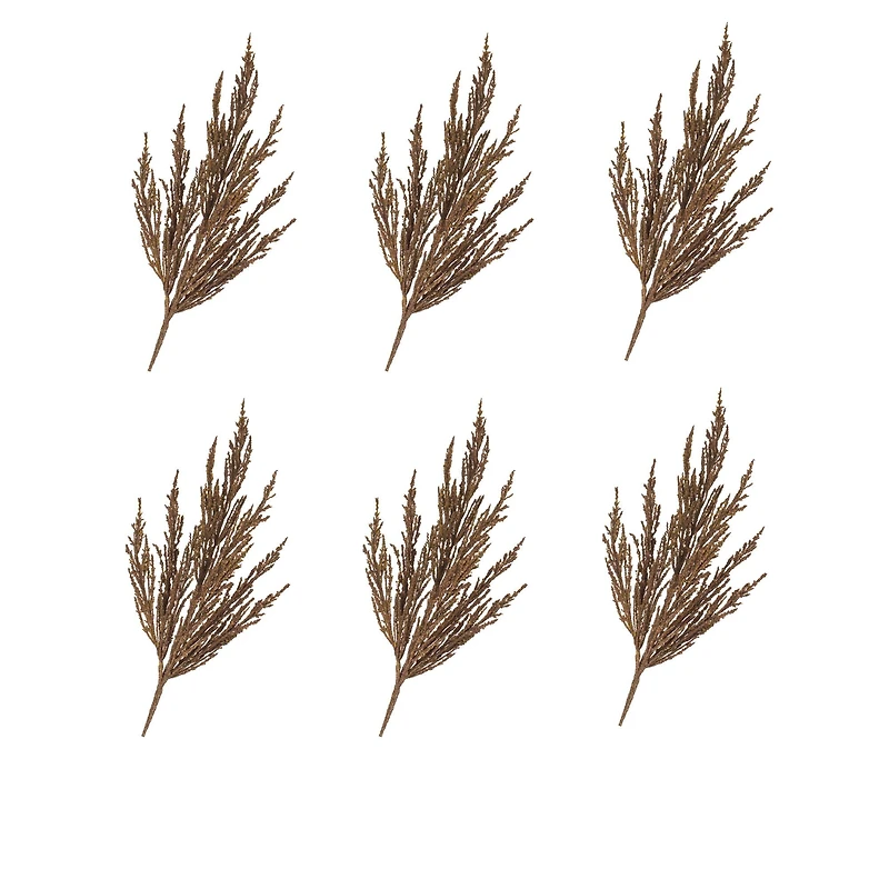 Brown Harvest Plume Stems, 6ct.