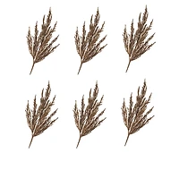 Brown Harvest Plume Stems, 6ct.