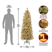 6ft. Pre-Lit Arcadia Cashmere Pine Slim Artificial Christmas Tree, Clear Lights