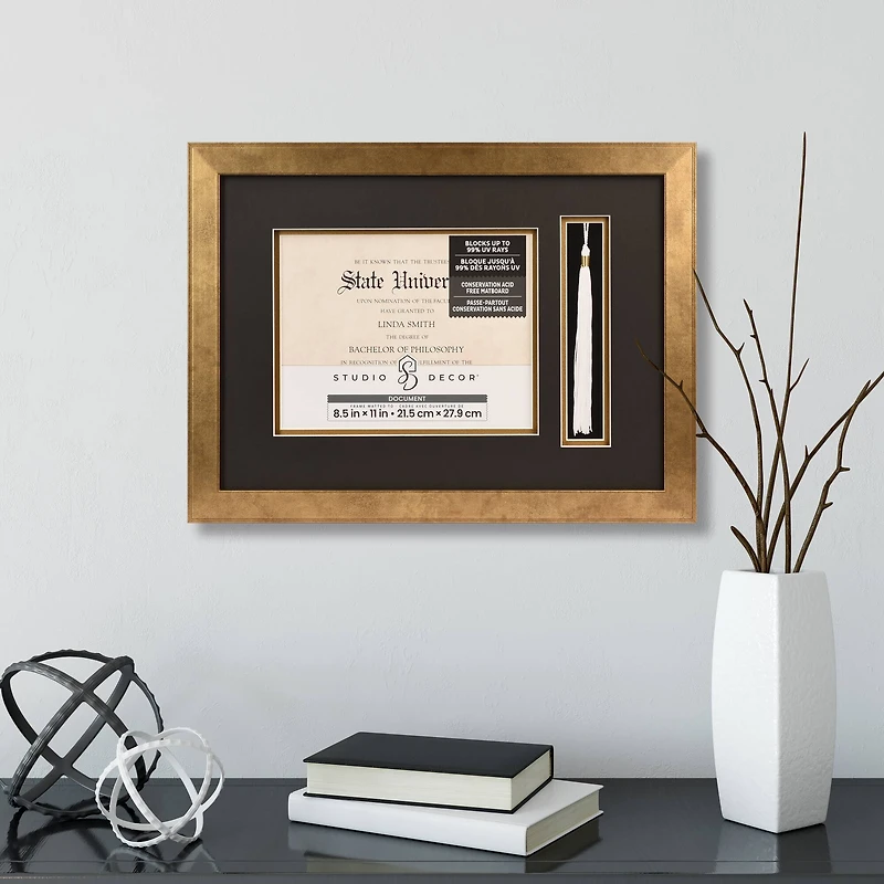 2 Opening Gold 8.5" x 11" Document & Tassel Frame with Double Mat by Studio Décor®