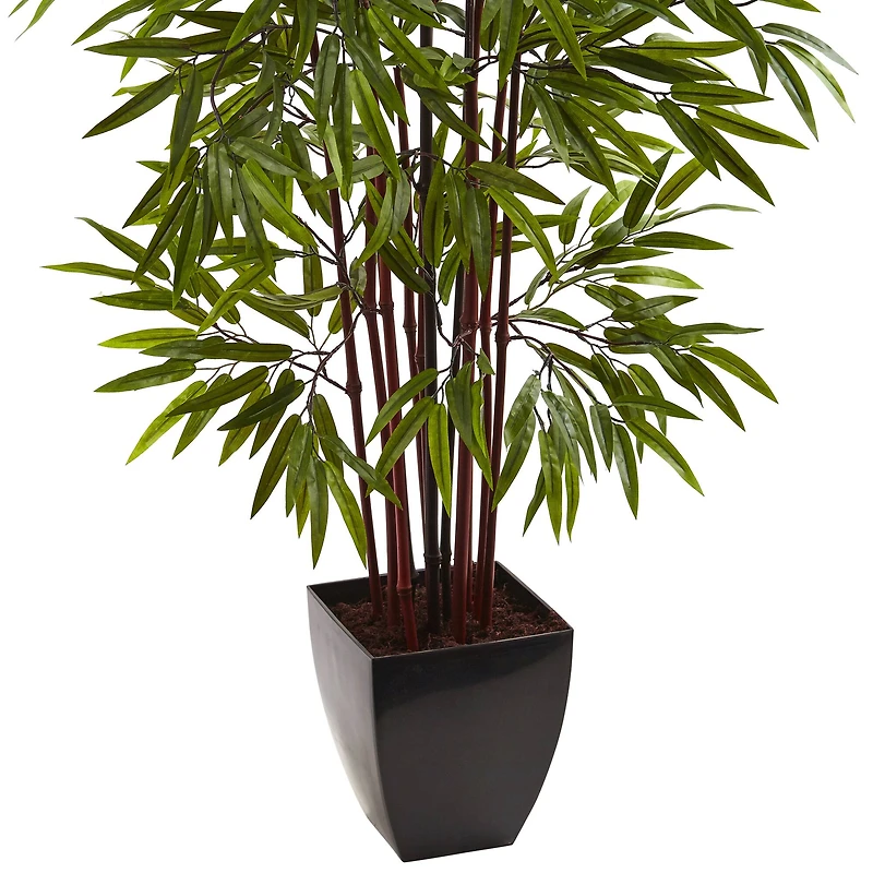 5ft. Potted Bamboo Silk Tree