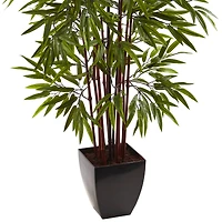 5ft. Potted Bamboo Silk Tree