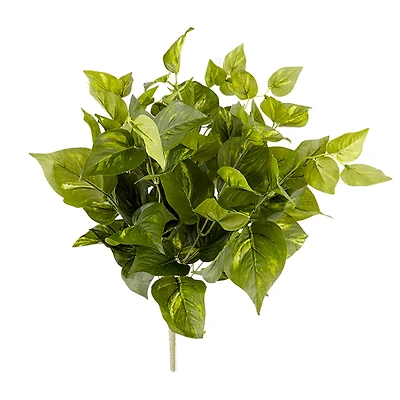 Pothos Bush Real Touch™ Collection by Ashland