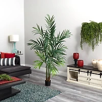 6ft. Potted Kentia Palm Tree