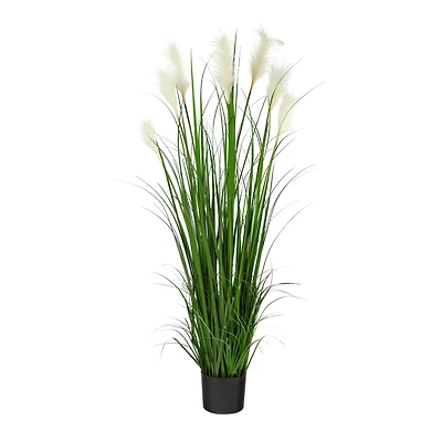 4.5ft. Potted Plume Grass