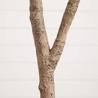 8ft. Potted Artificial Autumn Maple Tree