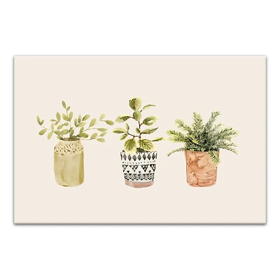 Designs Direct Potted Plants Canvas Wall Art