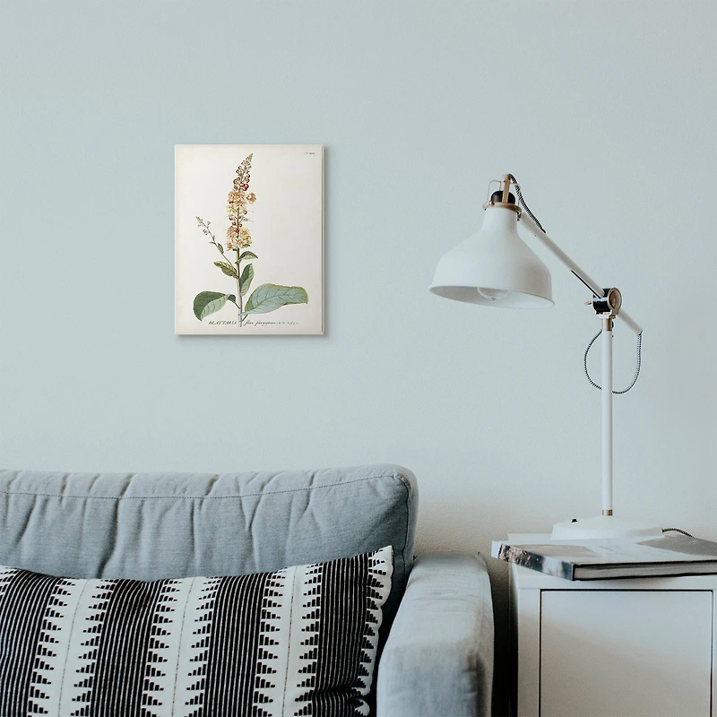 Stupell Industries Botanical Flower Wooden Wall Plaque