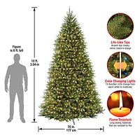 ft. Pre-Lit Dunhill® Fir Hinged Full Artificial Christmas Tree