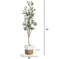 7ft. Olive Tree with Natural Trunk in Handmade Jute Basket