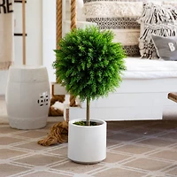 2.5ft. UV-Resistant Artificial Cedar Ball Topiary Tree in White Decorative Planter