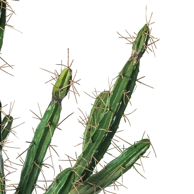 5ft. Potted Green Cactus