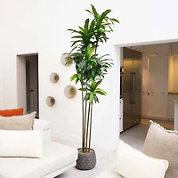 8ft. Potted Green Artificial Dracaena Tree with Real Touch Leaves