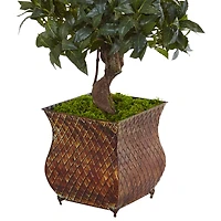 4.5ft. Sweet Bay Magnolia Double Topiary Tree in Metal Planter