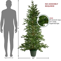 6ft. Unlit Real Touch™️ Noble Pine Artificial Potted Christmas Tree in Green Pot