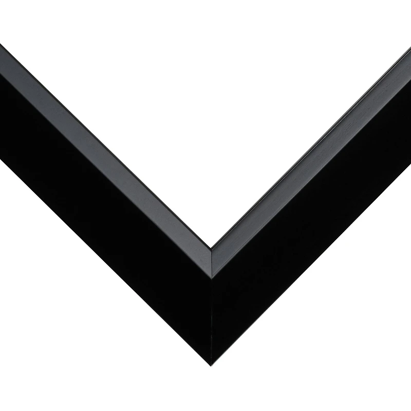 Frame USA Budget Saver Black Single Image Picture Frame