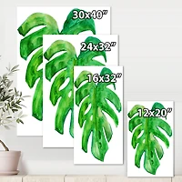 Designart - Tropical Leaf Of Monstera I