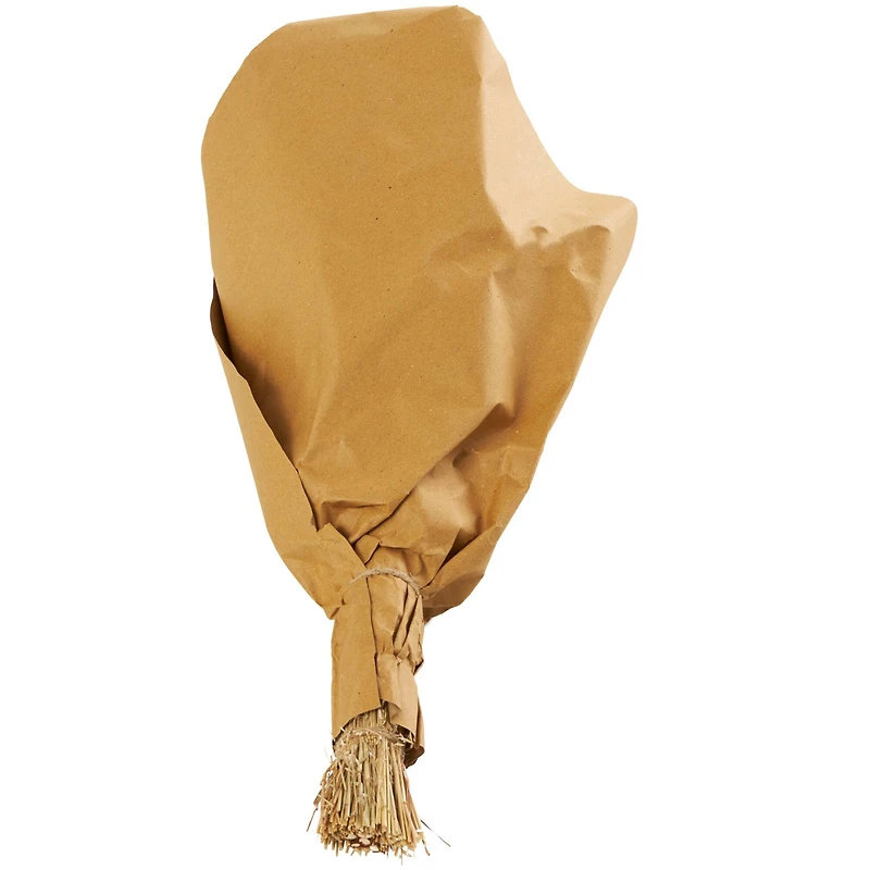 Beige Dried Mixed Foliage Arrangement