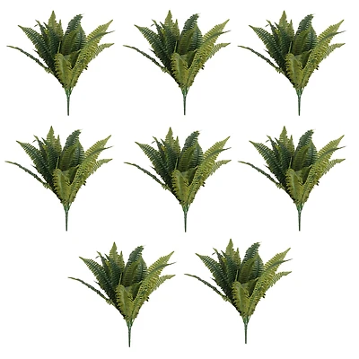 8 Pack: Boston Fern Bush by Ashland®