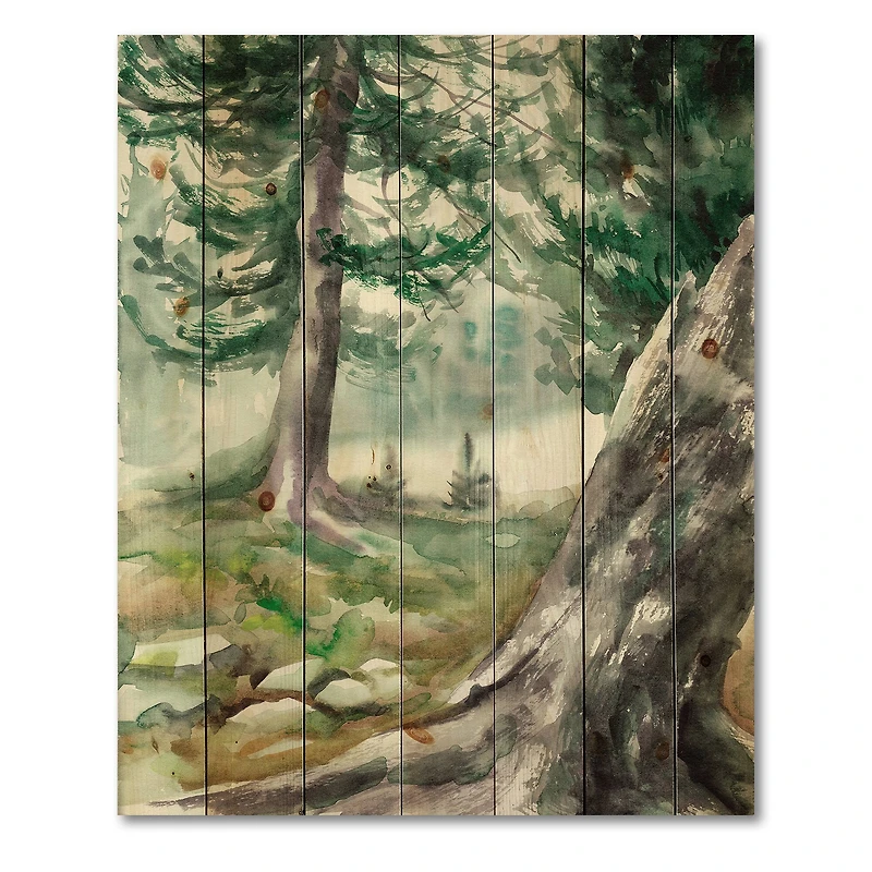 Designart - Pine Forest In The Early Morning