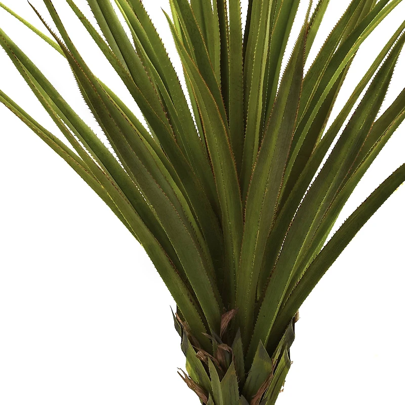 5ft. Potted Spiked Agave Tree