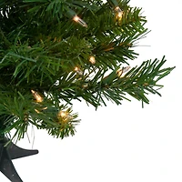 2ft. Pre-Lit Royal Pine Artificial Christmas Tree, Clear Lights