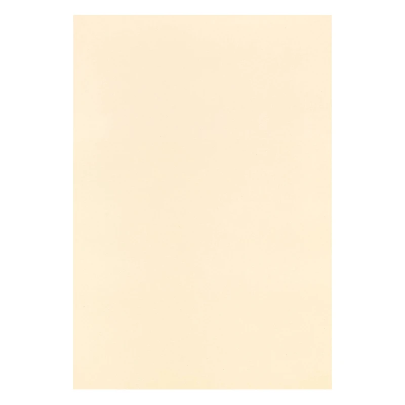 4.5" x 6.5" Cardstock Paper by Recollections