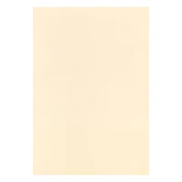 4.5" x 6.5" Cardstock Paper by Recollections