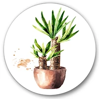 Designart - Yucca Tree In The Ceramic Flower Pot