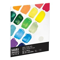 Liquitex® BASICS® Acrylic Paper Pad, 12" x 16"