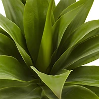 Green Large Agave Pick