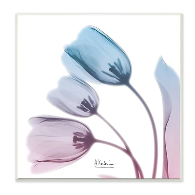 Stupell Industries Opaque Tulip Silhouette Blue Pink Photograph, 12" x 12"