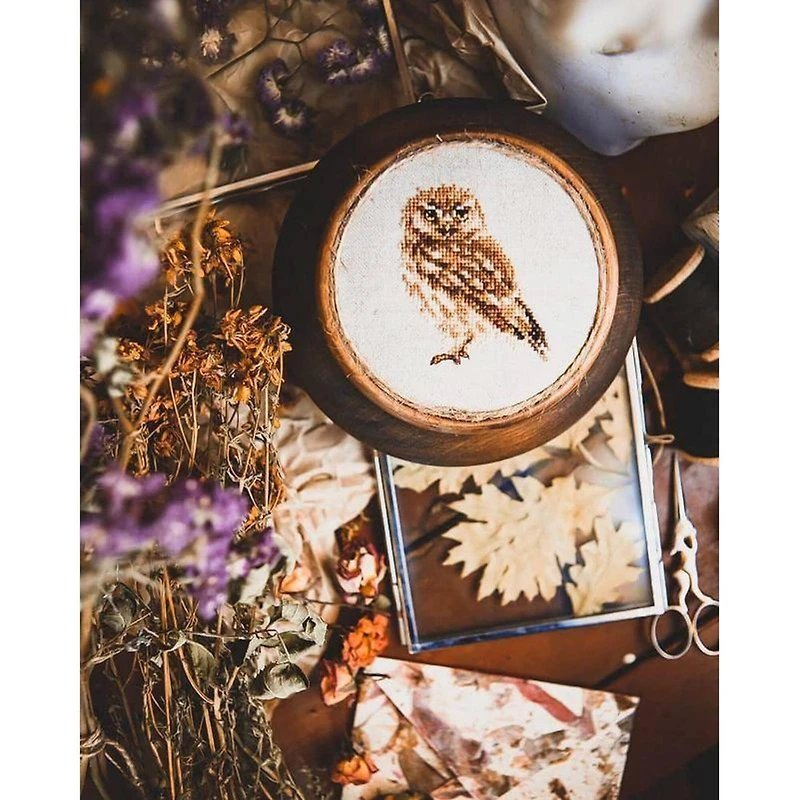 Alisa Owl Cross Stitch Kit