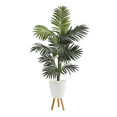 6ft. Kentia Palm Tree in White Planter with Stand