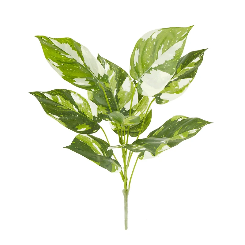 Green & White Pothos Bush by Ashland®