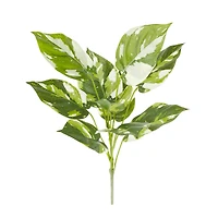 Green & White Pothos Bush by Ashland®