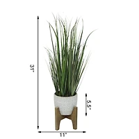 Flora Bunda® 31" Onion Grass In 6.6" Catheral Ceramic Pot On Stand