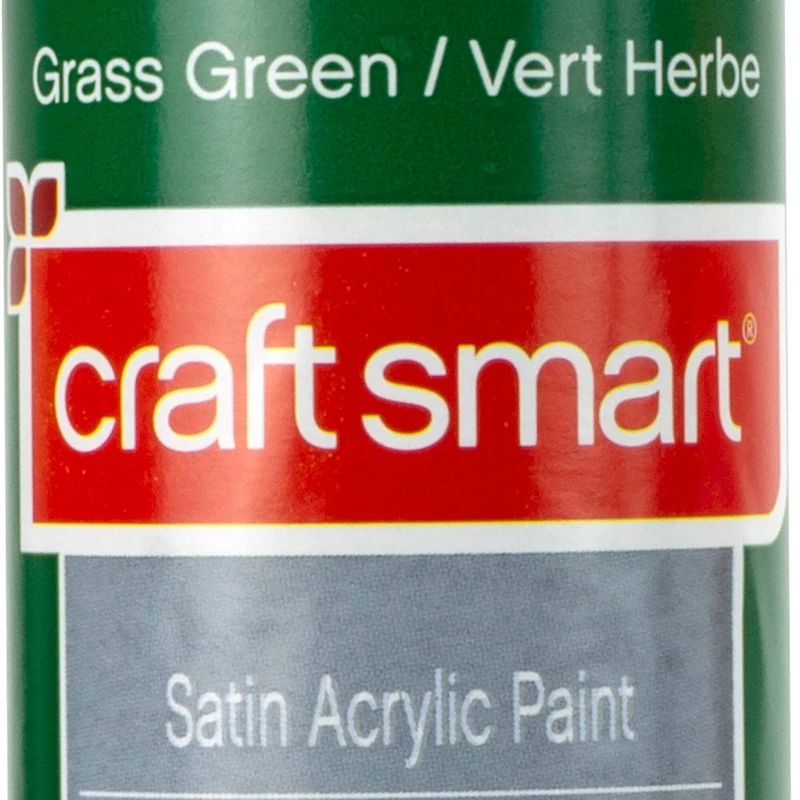 8oz. Satin Acrylic Paint by Craft Smart