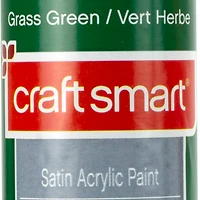 8oz. Satin Acrylic Paint by Craft Smart