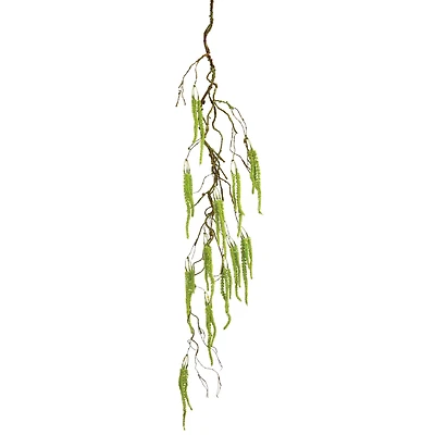 Lime Green Amaranthus Hanging Spray