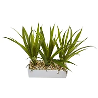 16" Grass in White Rectangular Planter