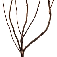 Natural Curly Willow by Ashland®