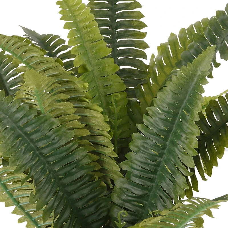 14 Pack: Green Boston Fern Bush by Ashland®
