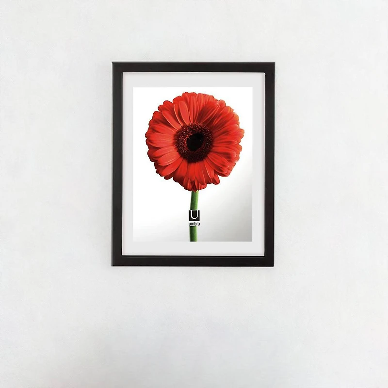 Umbra Black Document 14" x 11" Rectangular Frame